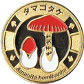 タマゴタケの金色メダル